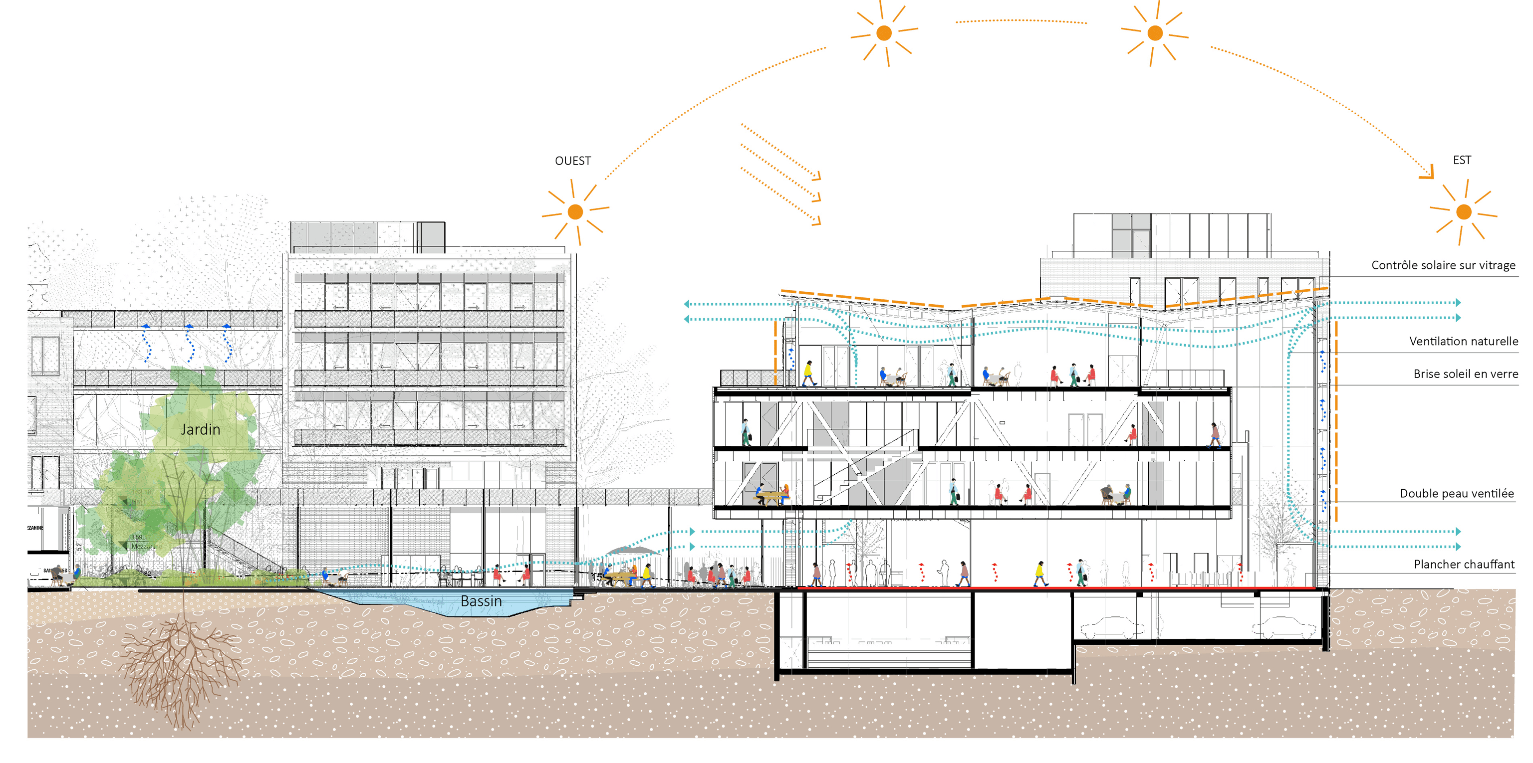 Coupe bioclimatique forum Marc Mimram Architecture Ingénierie