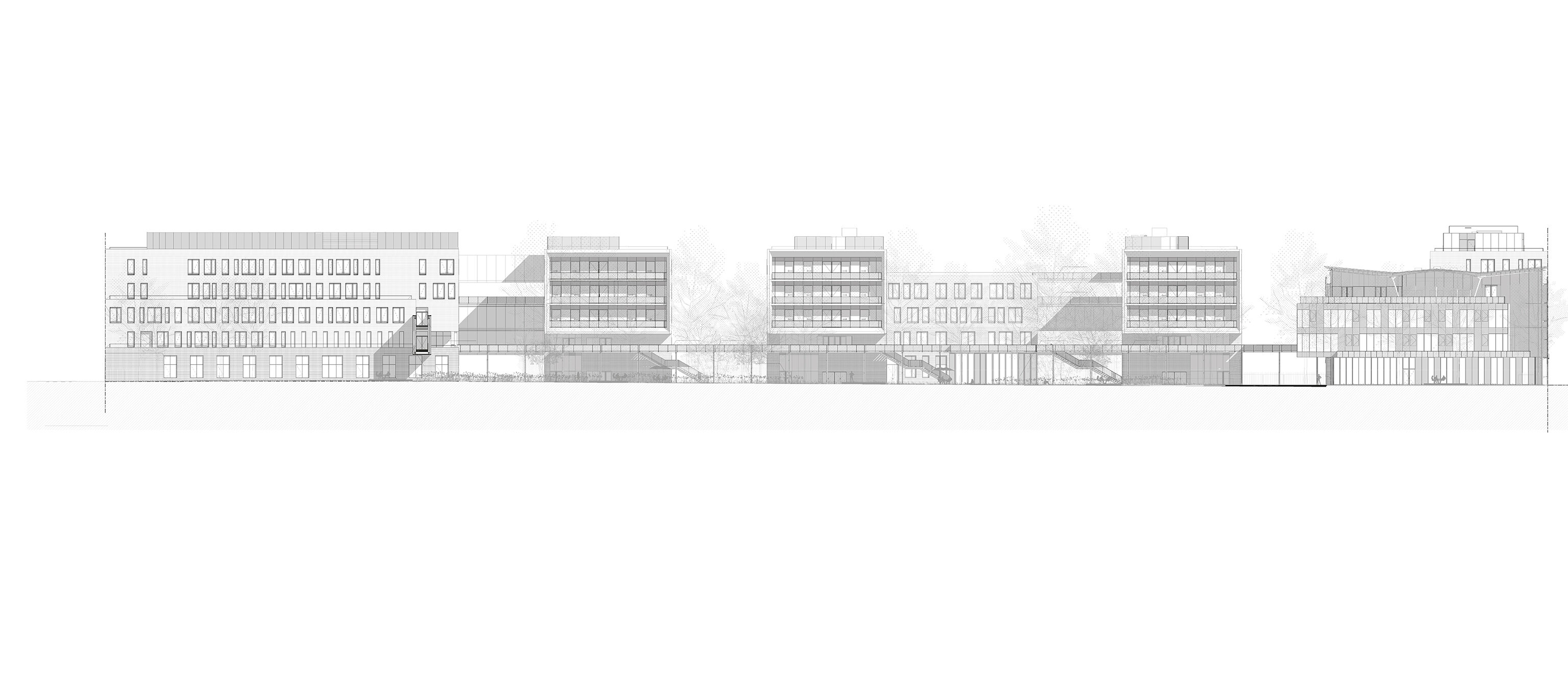 Elevation copie