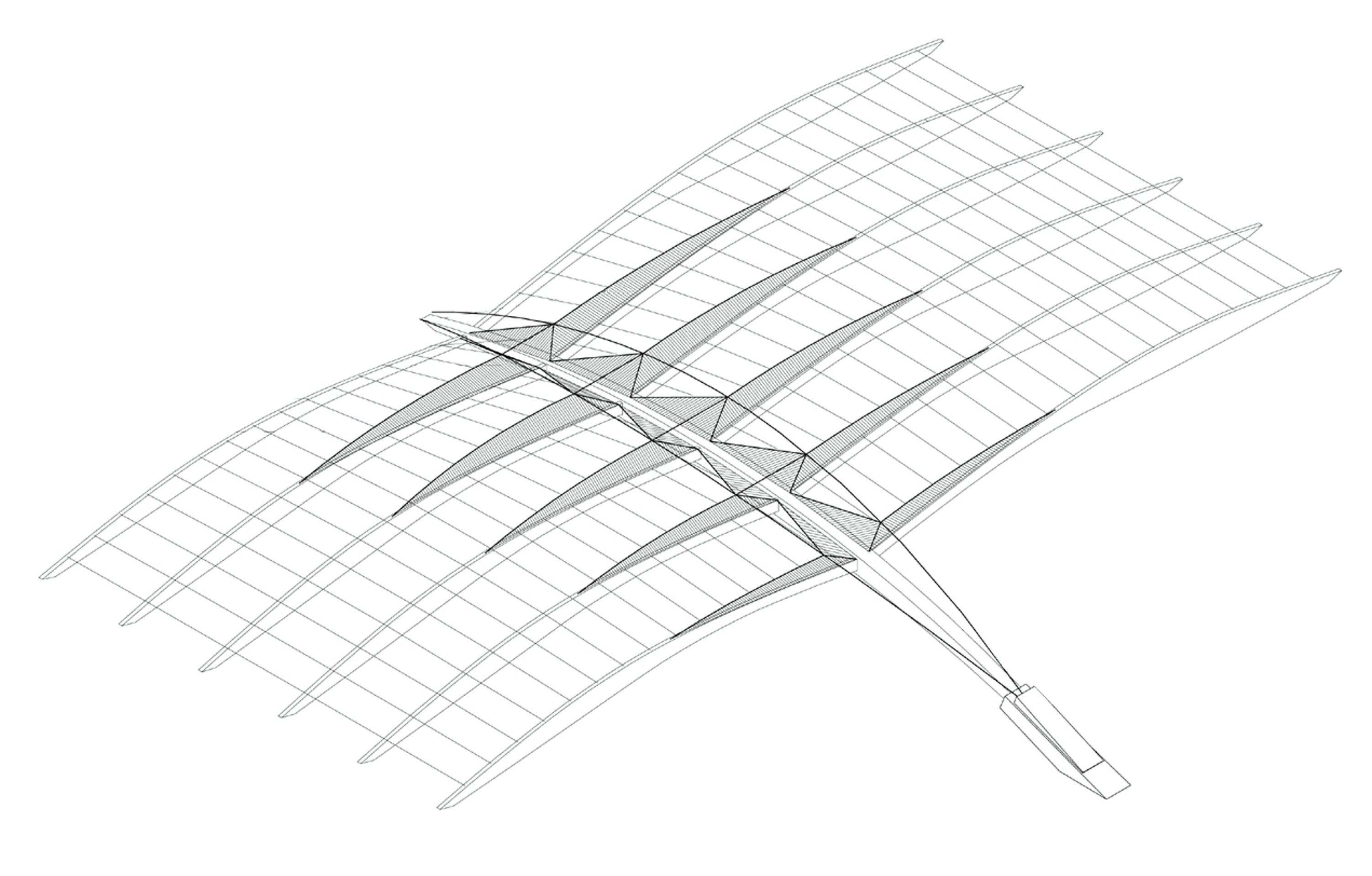 BAT06 lesulis 05