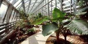 RG15 Garros И Erieta Attali