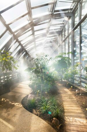 RG64 Garros И Erieta Attali