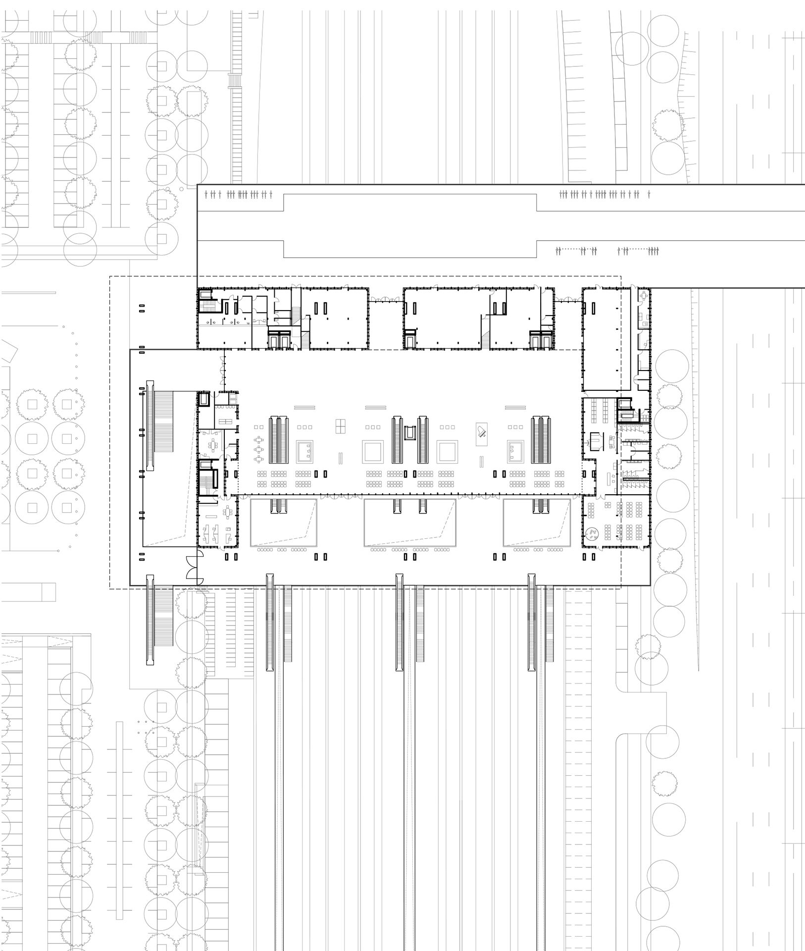 PLAN MONTPELLIER Arbre