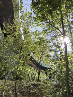 IMG 5363 Erieta Attali copie